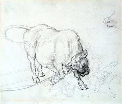 Study of a bull by Theodore Gericault